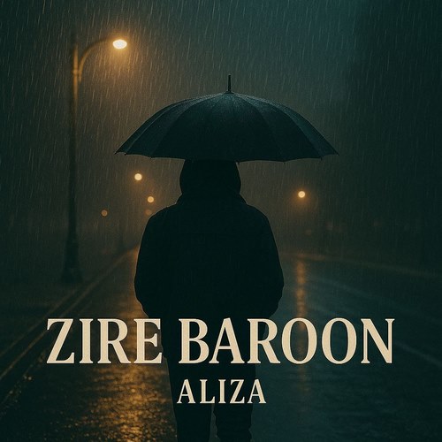 علیضا زیر بارون