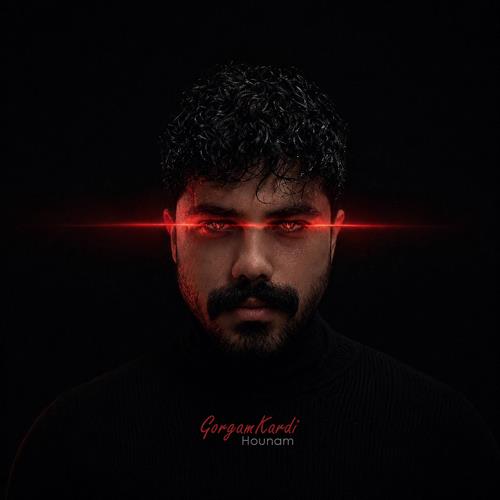 دانلود آهنگ هونام به نام تو منو گرگم کردی